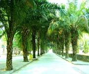 德宏師范高等專科學校——優(yōu)美的校園景色